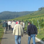 Cochem 2008
